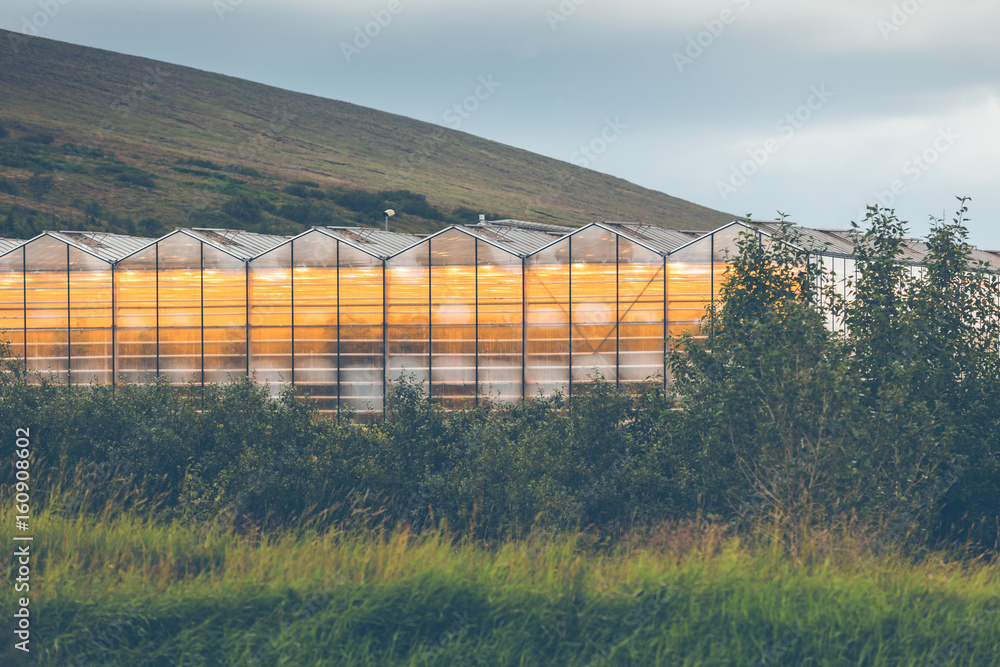 Fototapeta premium Geothermal greenhouses in Iceland