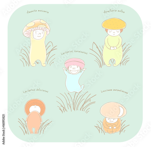 Cute mushrooms with Latin names
