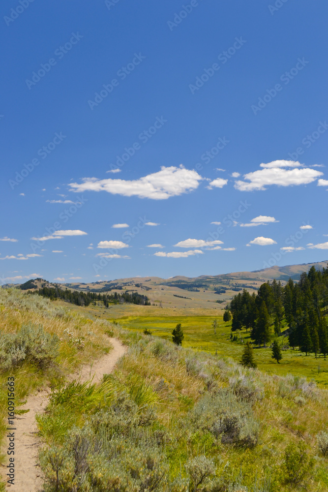 Path in Yellowstone National Park, Wyoming, USA.