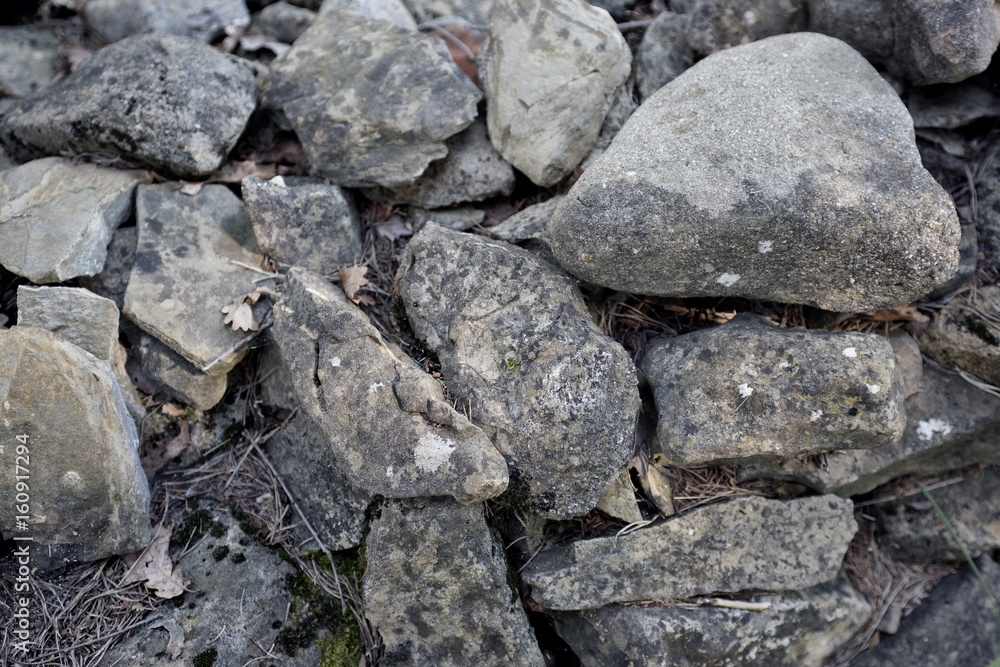 piedras grises del suelo de un bosque