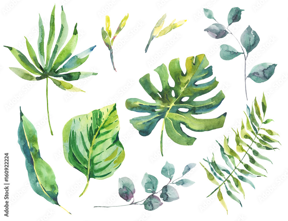 Set of watercolor green tropical leaves