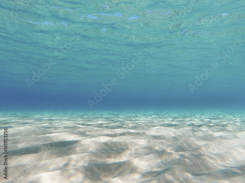 Mondo sommerso in Sardegna, spiaggia di Chia sott'acqua