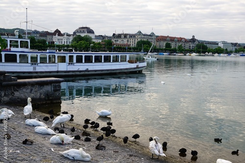 Zürisee in der Schweiz photo