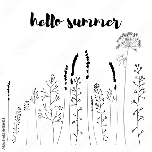 Meadow grasses, herbs and flowers silhouettes.