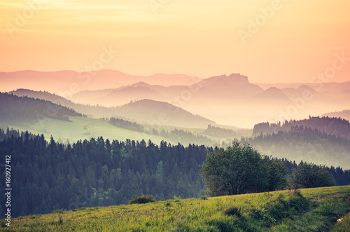Fototapeta Naklejka Na Ścianę i Meble -  Moments before sunrise in misty Carpathian mountains, spring, Poland