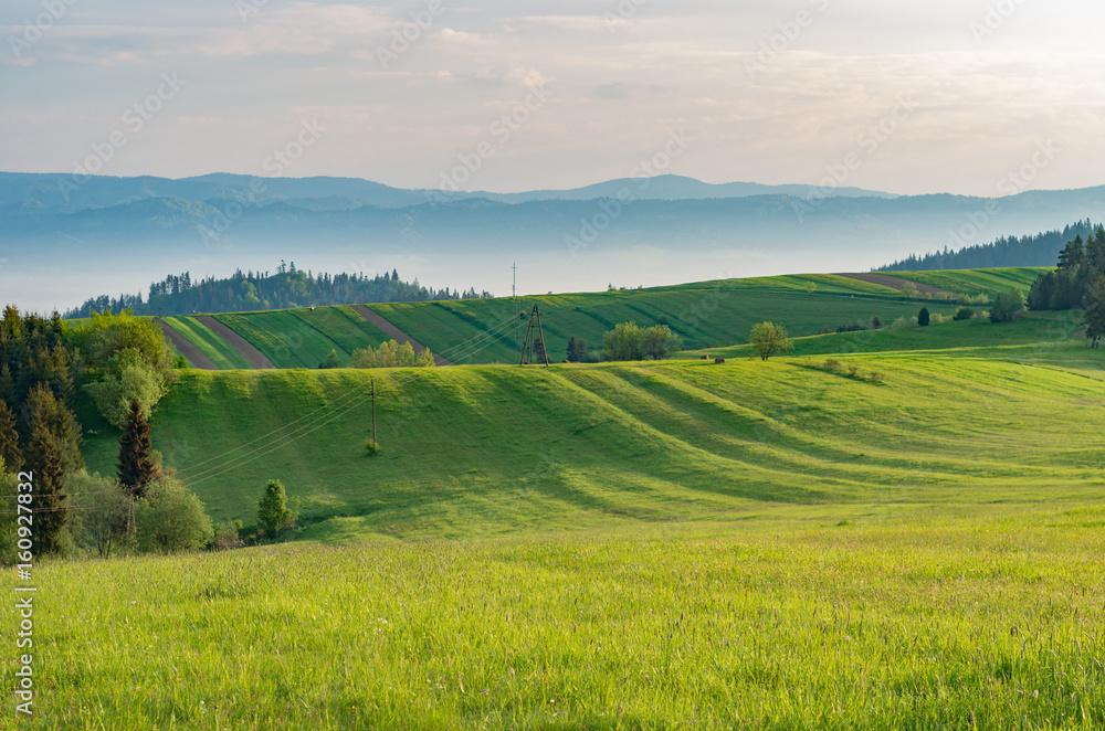 Fresh green crop field panorama, mountain landscape in Poland, spring