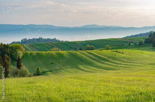 Fototapeta Naklejka Na Ścianę i Meble -  Fresh green crop field panorama, mountain landscape in Poland, spring