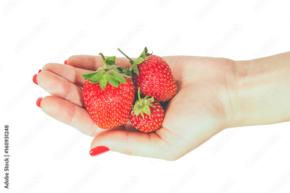 Obraz premium strawberries in hand palm isolated on white background