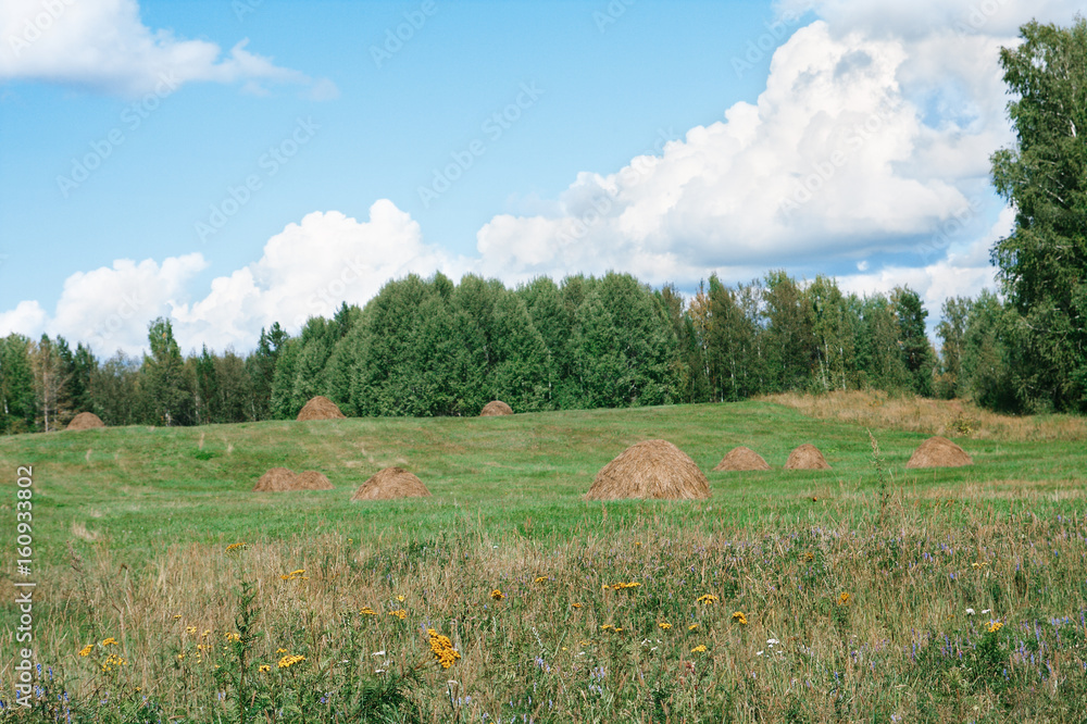 Hay bales on a green hill on the background of cloudy sky