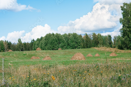 Obraz na płótnie Hay bales on a green hill on the background of cloudy sky w salonie