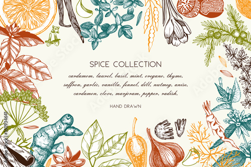 Hand drawn spices and herbs design
