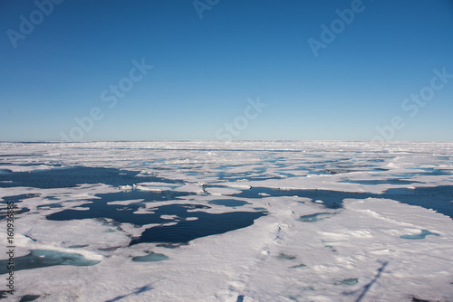 Arctic seascape