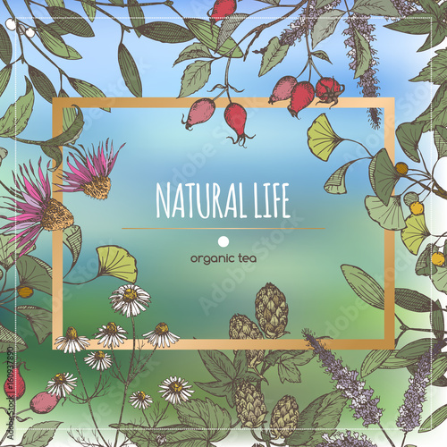 Color organic tea label decorated with hand drawn herbs.