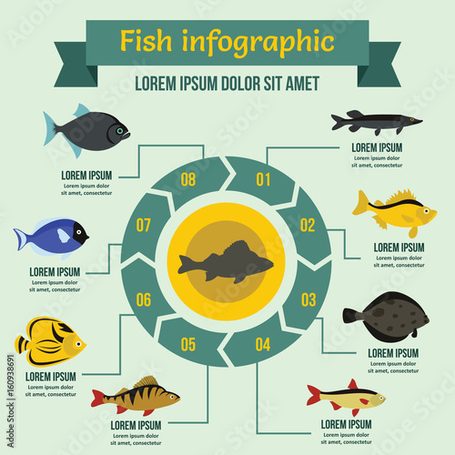 Fish infographic concept, flat style