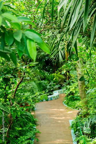 botanical garden with tropical plants