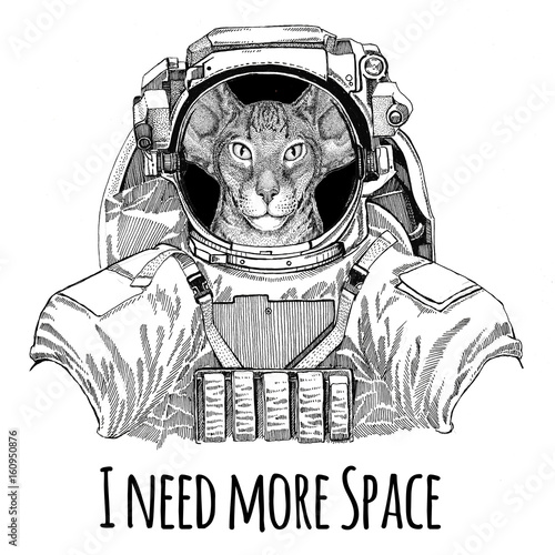 Oriental cat with big ears wearing space suit Wild animal astronaut Spaceman Galaxy exploration Hand drawn illustration for t-shirt © helen_f