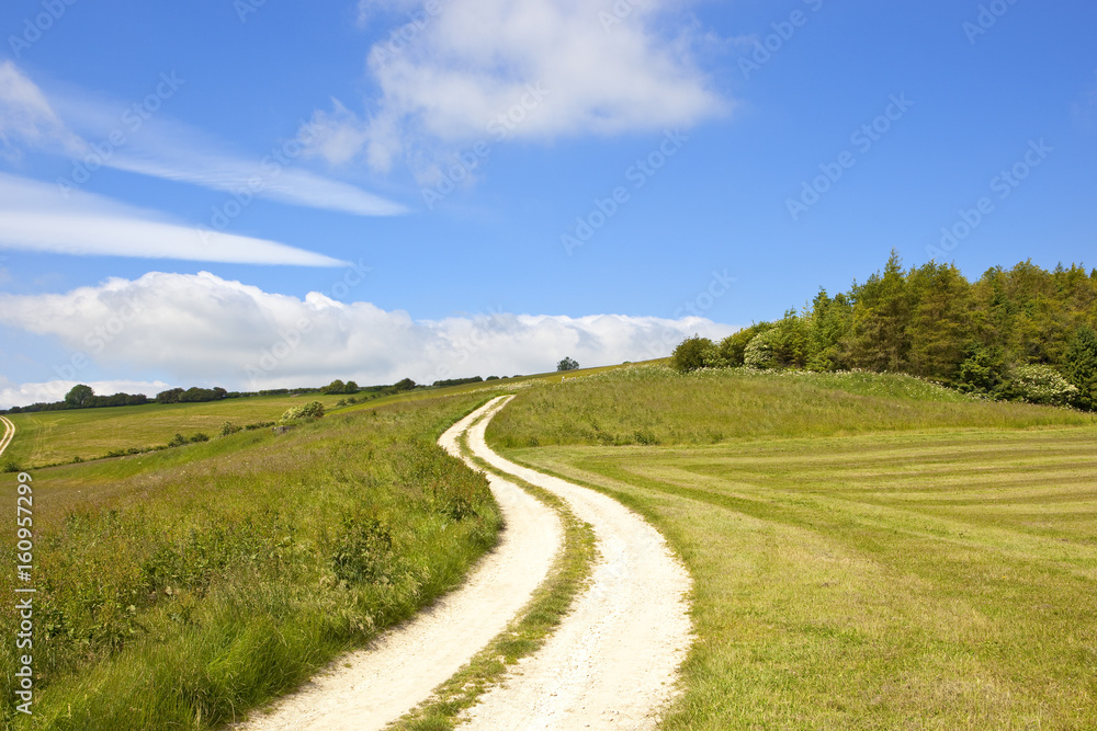 chalky track and meadows