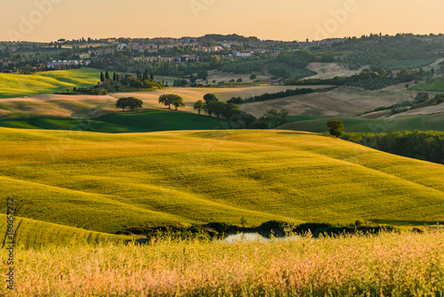 Extraordinary panorama of the Siena countryside  in the valley of the valley