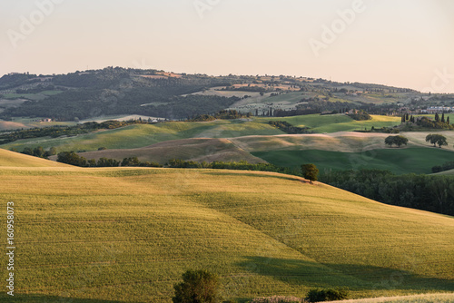 Extraordinary panorama of the Siena countryside, in the valley of the valley © DD25