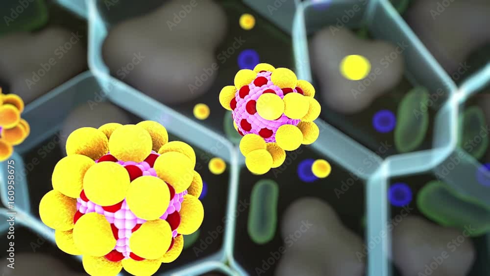 hormones and human cells, field of fat cells, High quality 3d render of
