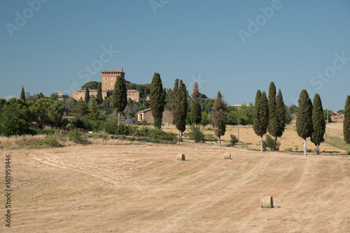 Extraordinary panorama of the Siena countryside, in the valley of the valley photo