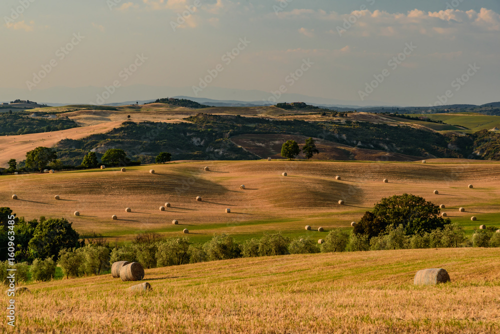 Obraz premium Idyllic panorama of the valley of the orcia in tuscan province of siena in summer with cultivated fields