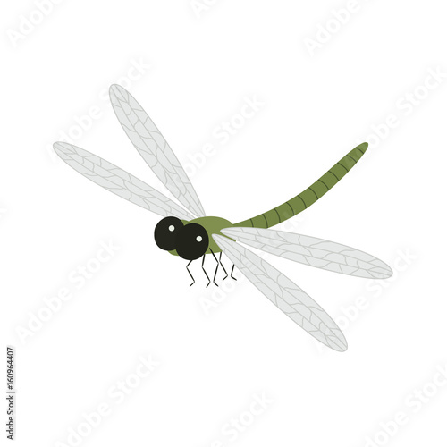 Cartoon beautiful dragonfly
