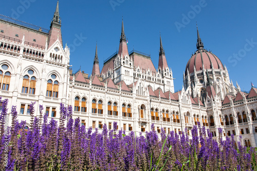 Parliament, Budapest, Hungary © imagesef
