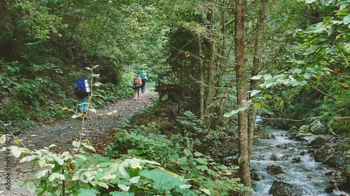 Tourists hiking in the forest of mountians with backbags photo