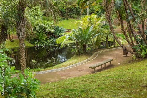 Obraz na płótnie Antonio Borges Botanical Garden in Ponta Delgada
