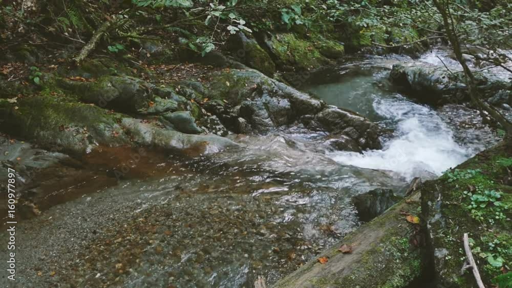 A mountain river with clear water flows among the stones. Close-up A mountain river with clear water flows among the stones. Close-up