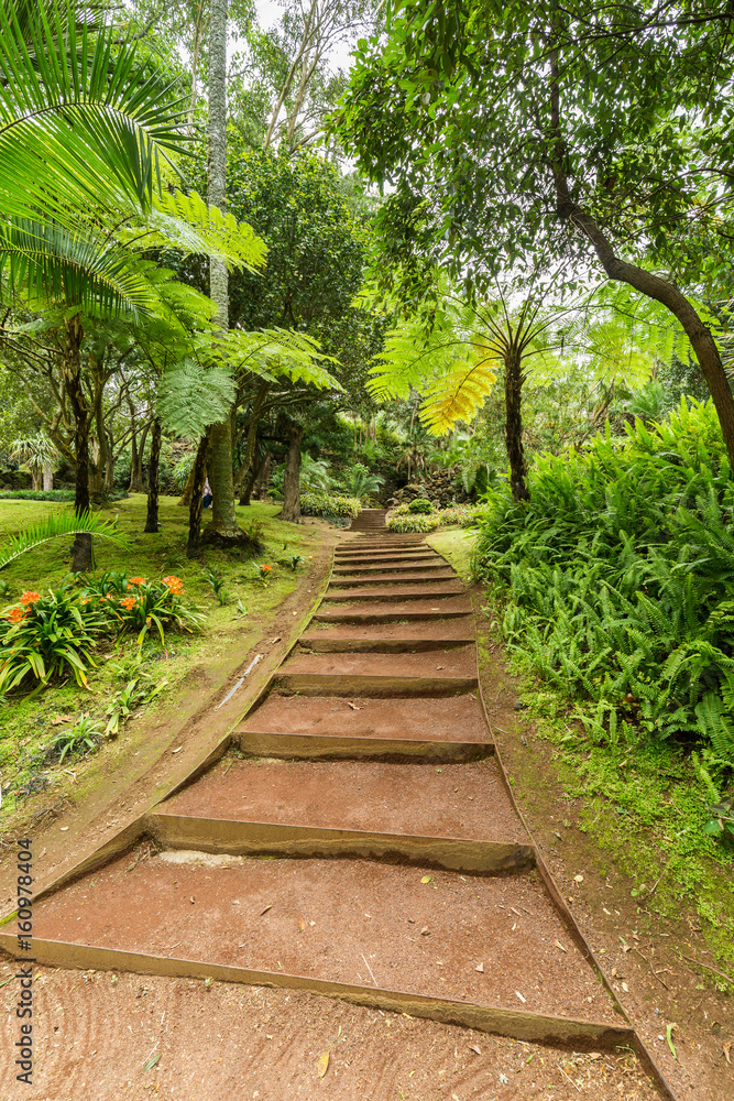 Antonio Borges Botanical Garden in Ponta Delgada Antonio Borges Botanical Garden in Ponta Delgada