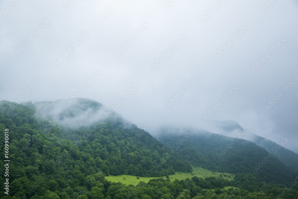 Clouds and fog over tree forest