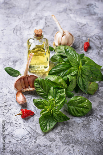 Fresh green basil with garlic and olive oil