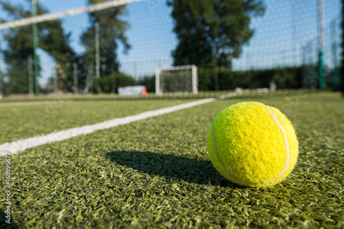 Tennis ball in the field © Massimiliano Marino