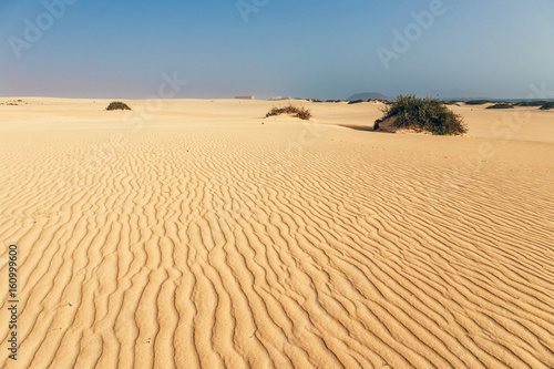 Lines in the sand of a beach  close up