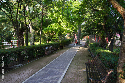 Parque de San Miguel de Allende