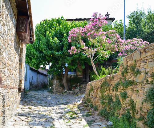 Köyde ki adımlar photo