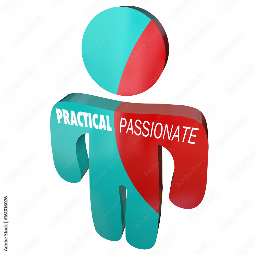 Obraz na plátně Practical Vs Passionate Person Behavior Qualities 3d Illustration