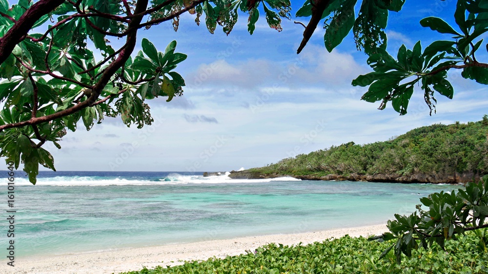 Leaves from a tree frames a portion of the Wing Beach in Saipan, Northern Mariana Islands. Leaves from a tree frames a portion of the Wing Beach in Saipan, Northern Mariana Islands.