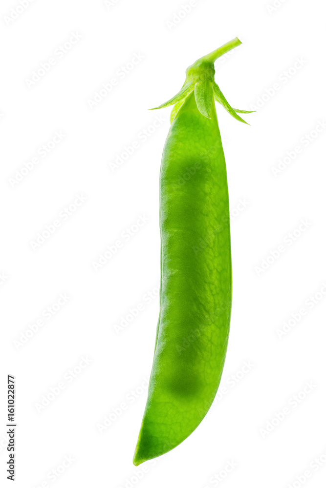 green peas and pod on white background green peas and pod on white background