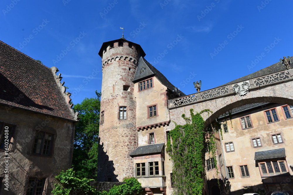 Schloss Fürstenau in Michelstadt Südhessen