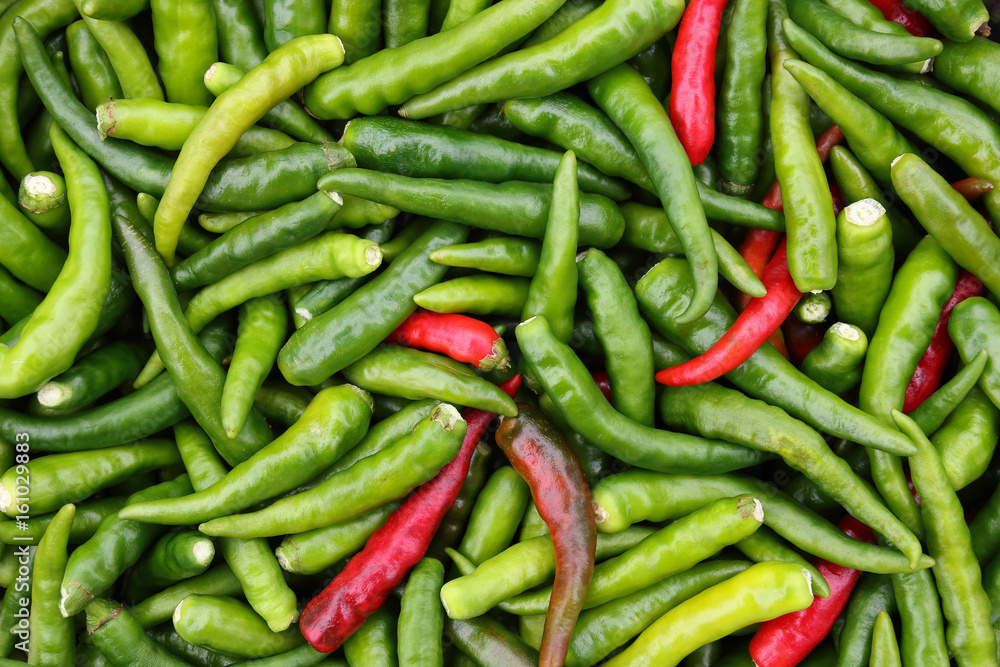 green and red chili for pattern and background green and red chili for pattern and background