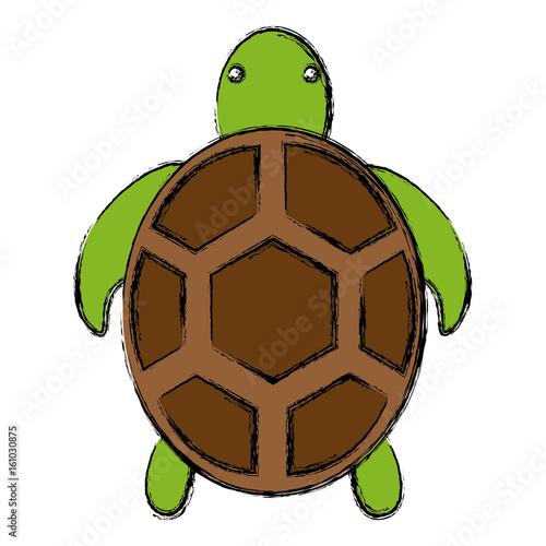 sea life design