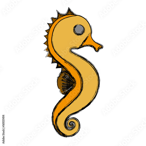 sea life design