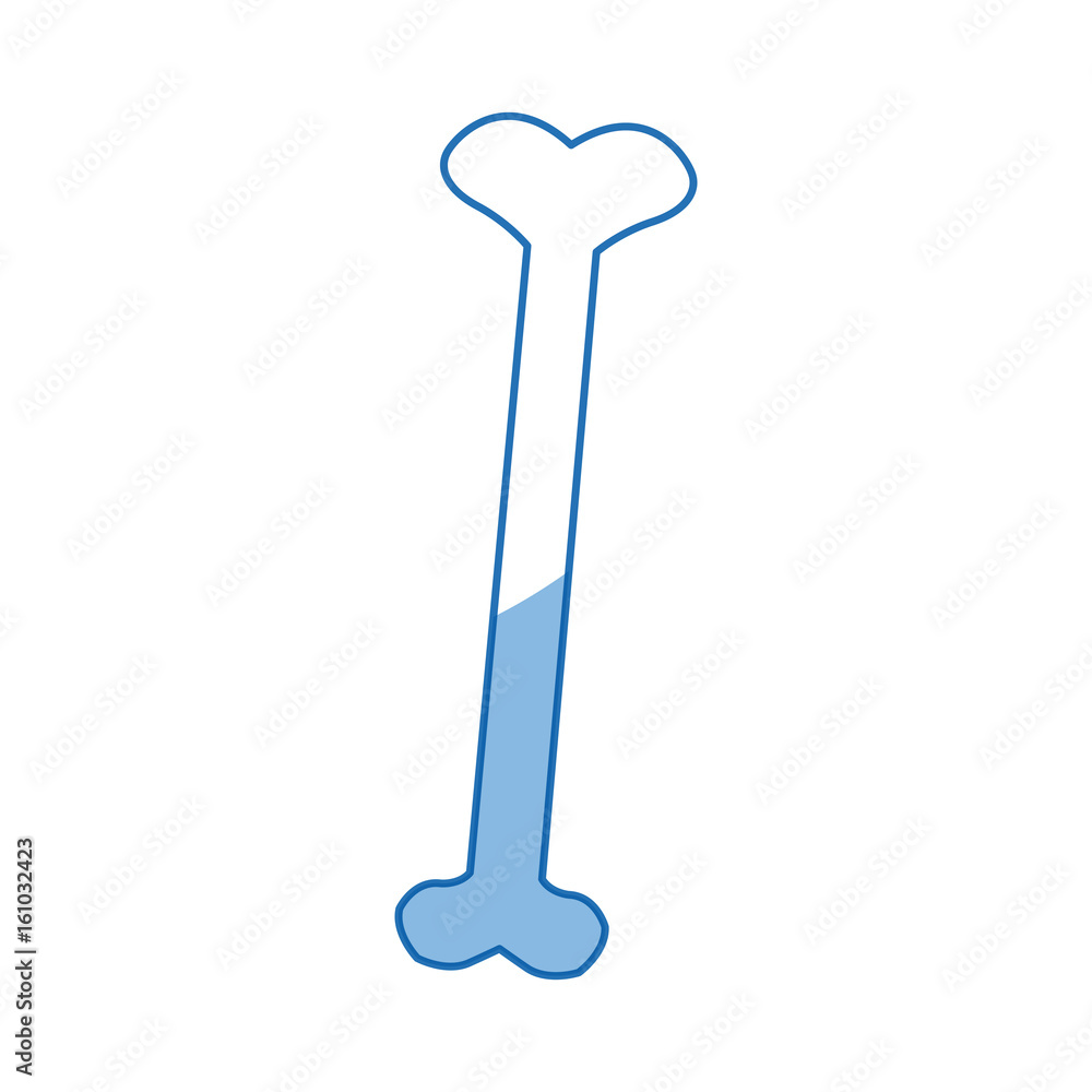 drawing human bone anatomy orthopedic vector illustration