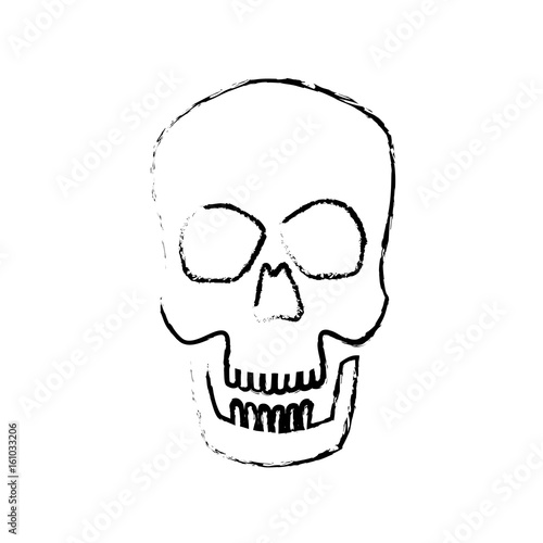 human skull male medical biology science vector illustration