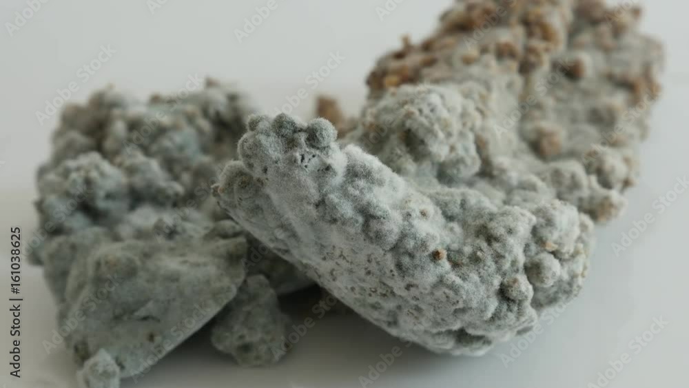 Mould over bread surface slow tilt 4K 2160p 30fps UltraHD footage - Tilting over rotten food with hyphae fungus close-up 3840X2160 UHD video Mould over bread surface slow tilt 4K 2160p 30fps UltraHD footage - Tilting over rotten food with hyphae fungus close-up 3840X2160 UHD video