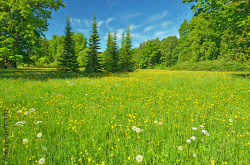 The natural landscape in the spring.