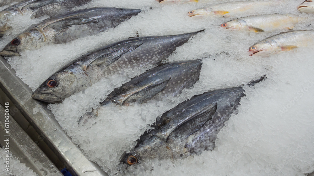 fresh tuna on ice in thai market
